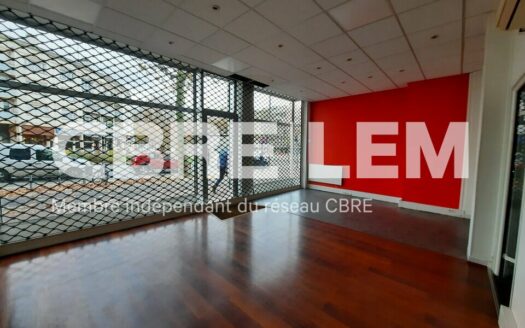 L LOCAL COMMERCIAL de 60 m²